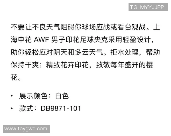 足球违章全解析与应对策略助你轻松应对赛场规则挑战